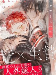 旋风骑士·剧场版 2024